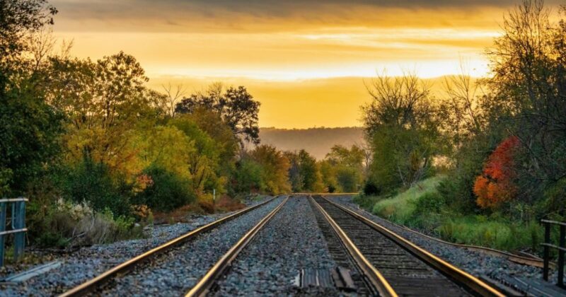 購入するベストタイミング