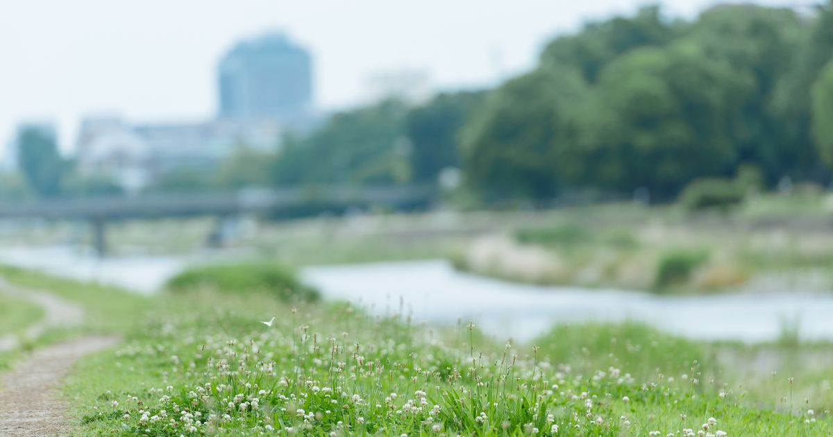自然と景色に癒やされる水辺エリア