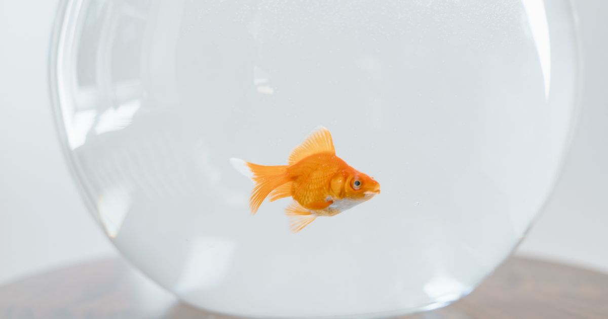 飼育環境別｜空腹サインの現れ方の違い