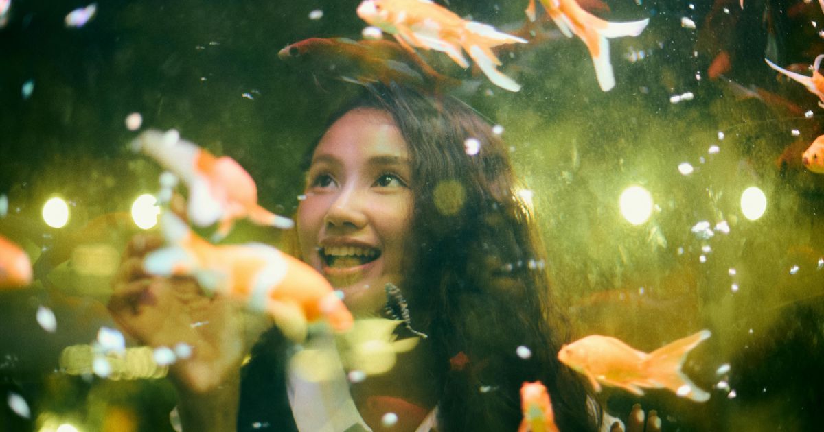 金魚の空腹サインで大切にしたい考え方