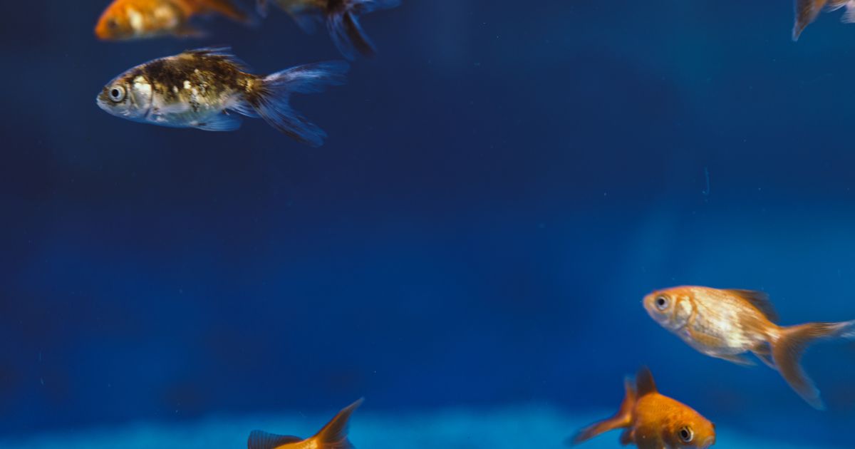 行動以外で判断する｜見た目・様子からわかるヒント