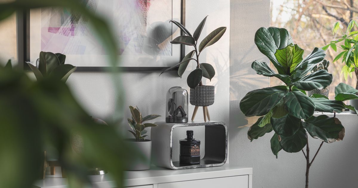 ライフスタイル別おすすめの取り入れ方