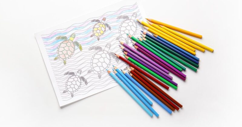 セリアの大人向け塗り絵はどこで買える？購入時のポイント