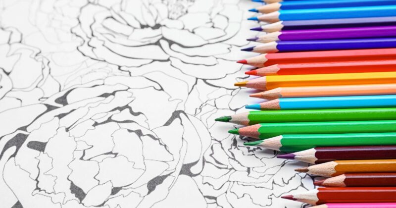 まずは110円から。大人の塗り絵を気軽に楽しもう