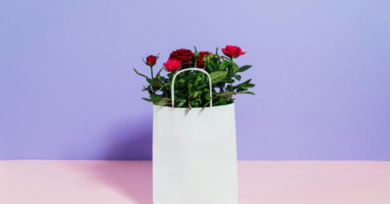 「手土産いらない」と言われたとき、まずどう考えればいい？