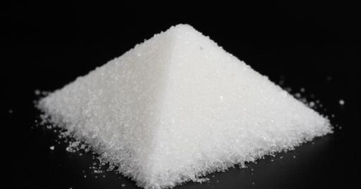 盛り塩とは何か？意味と考え方をやさしく解説