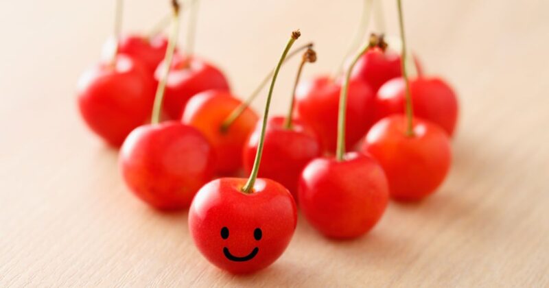 スローガン例を現場で活かすための考え方