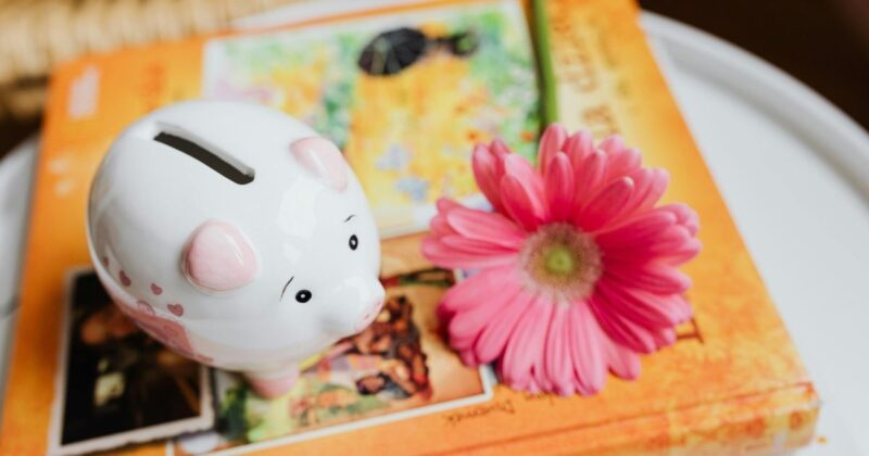 ECナビを続けて感じた正直なメリットと気になる点