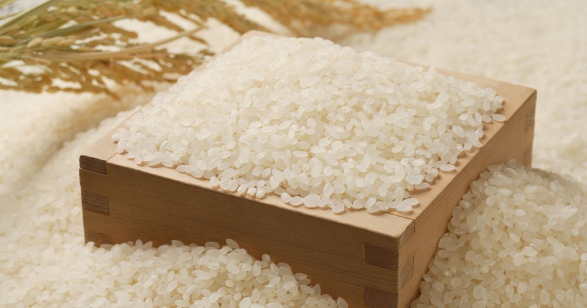 価格・流通量・手に入りやすさを比較