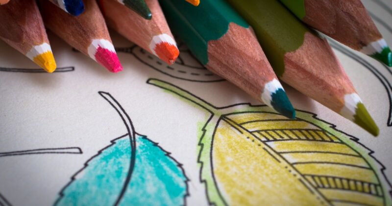 書店の大人向け塗り絵と比べてどう？セリア塗り絵の立ち位置