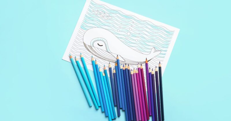 続けやすさで見るセリア大人塗り絵が合う人