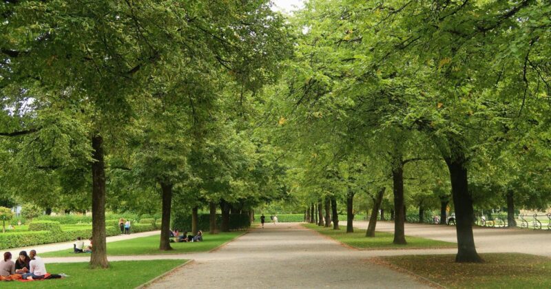 保護者会と子どもの関係を考えてみる