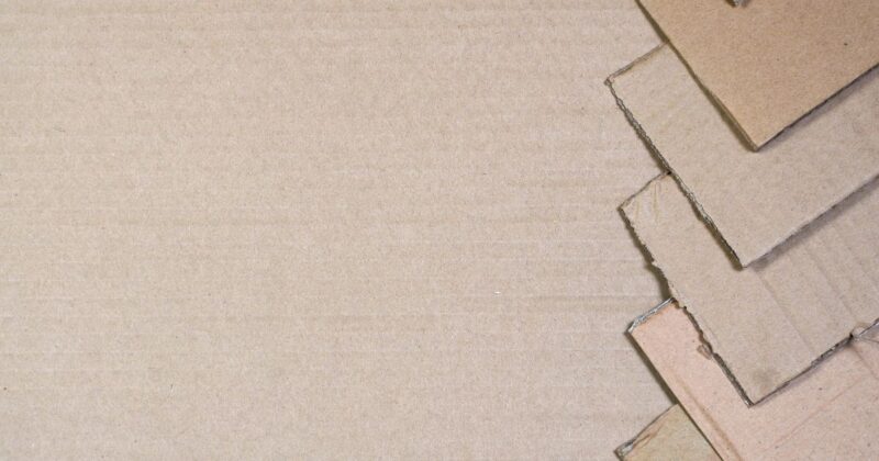 住まいの環境によって変わる注意点