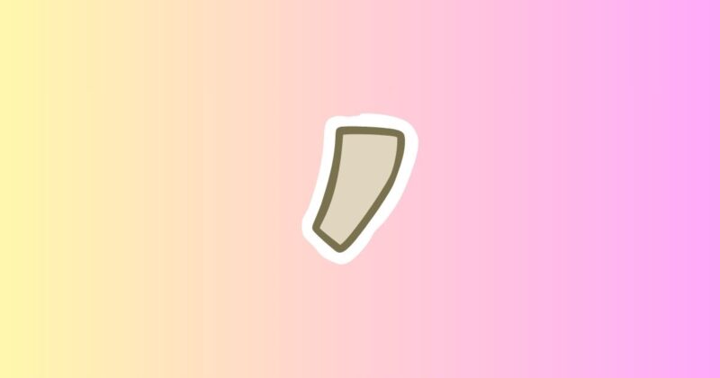 英語で使うアポストロフィの基本ルール