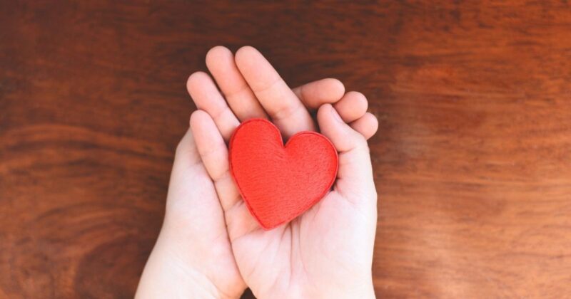 「小さな手」が好印象につながりやすい心理的な理由