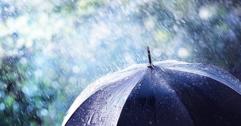 雨の日にありがちな後悔とその回避ポイント