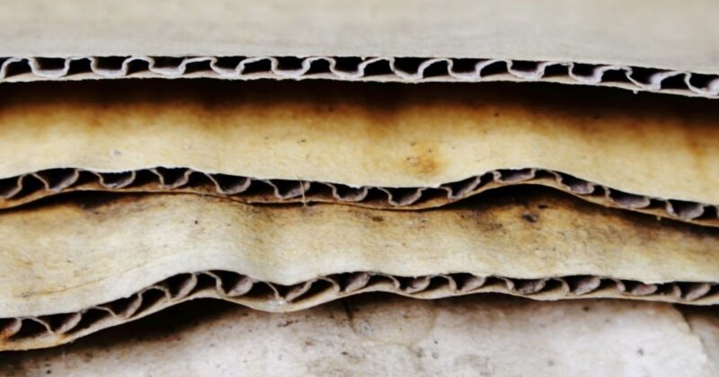 雨の日に段ボールゴミを出すときの基本的な考え方