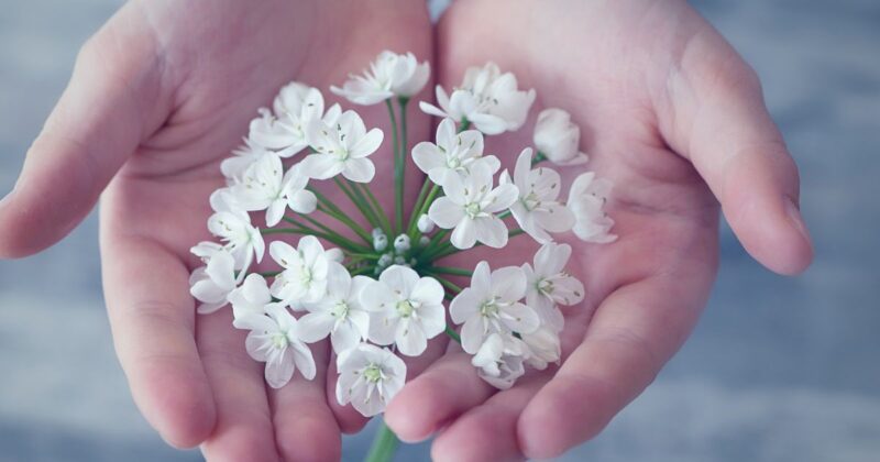 大人女性が意識したい手元の印象づくり