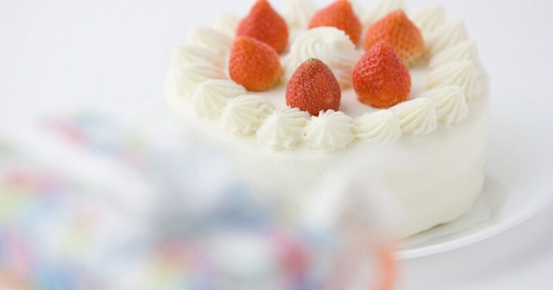 4号・5号・6号の違いがひと目でわかる早見まとめ