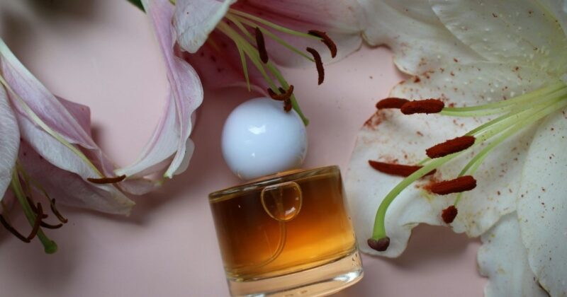 実は大切なのは“同じ匂い”よりも“距離感”