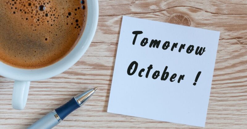 明日以降の表現は【独自の見解】正しさよりも「相手に伝わるか」を大切にする