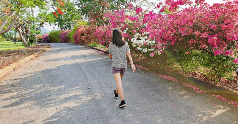 日常生活で歩数を増やす小さな工夫